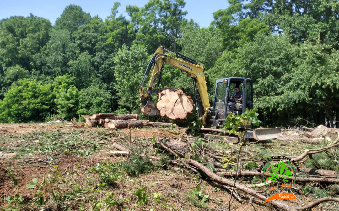 What Safety Features Are Essential in Equipment Used for Stump Grinding in Franklin NC?