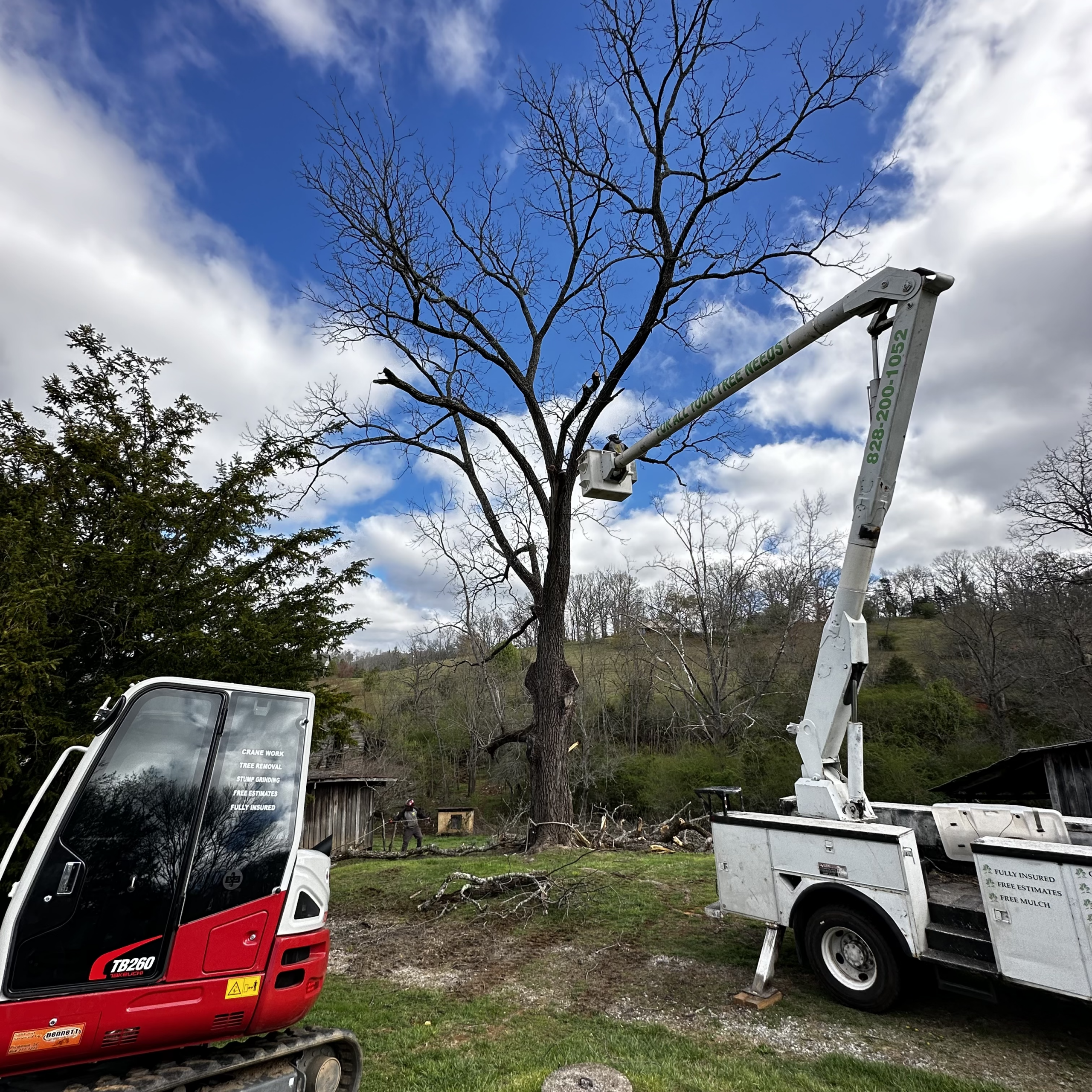 Crane Service Franklin NC 2 Tree Remval Franklin NC